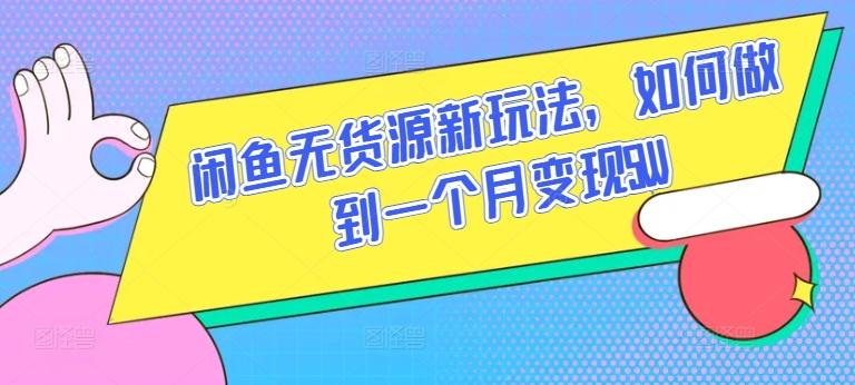 闲鱼无货源新玩法，如何做到一个月变现5W【揭秘】-搞个副业