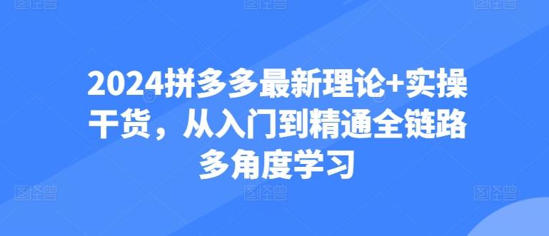 2024拼多多最新理论+实操干货，从入门到精通全链路多角度学习-搞个副业