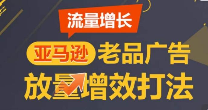 亚马逊流量增长-老品广告放量增效打法，循序渐进，打造更多TOP listing​-搞个副业