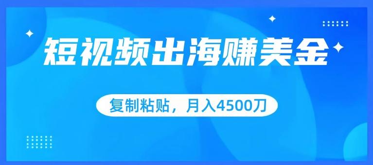 短视频出海赚美金，复制粘贴批量操作，小白轻松掌握，月入4500美刀【揭秘】-搞个副业