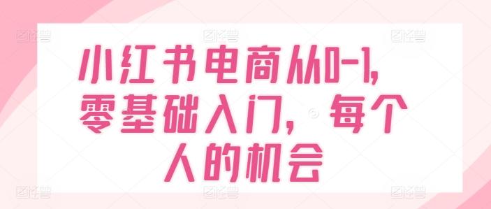 小红书电商从0-1，零基础入门，每个人的机会-搞个副业