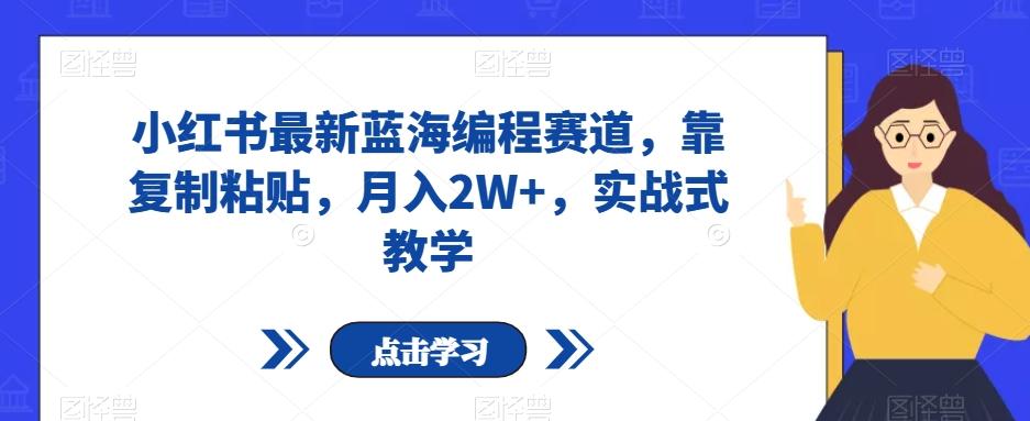小红书最新蓝海编程赛道，靠复制粘贴，月入2W+，实战式教学【揭秘】-搞个副业