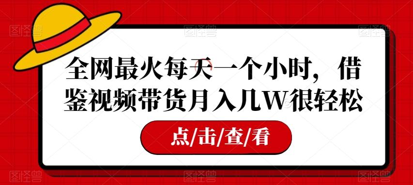 全网最火每天一个小时，借鉴视频带货月入几W很轻松【揭秘】-搞个副业