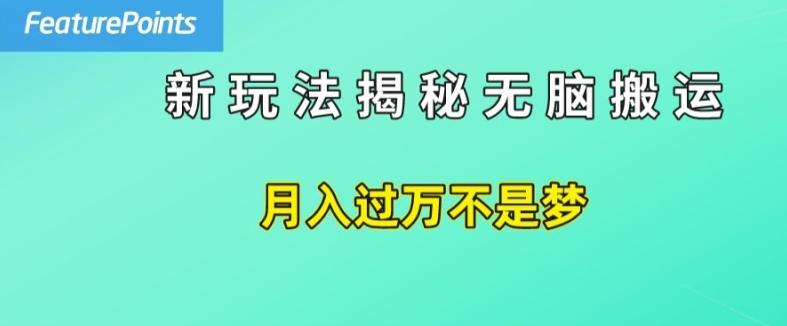 简单操作，每天50美元收入，搬运就是赚钱的秘诀【揭秘】-搞个副业