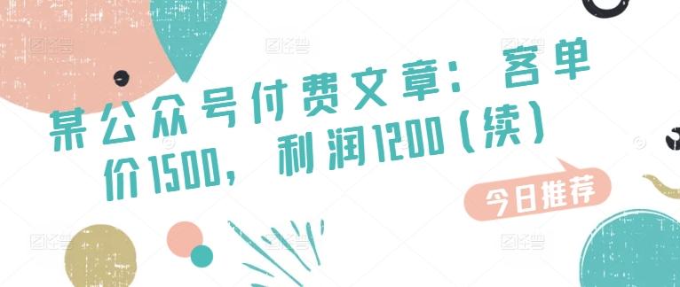 某公众号付费文章：客单价1500，利润1200(续)，市场几乎可以说是空白的-搞个副业