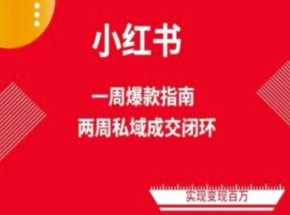 爆款小红书免费流量体系课程(两周变现)，小红书电商教程-搞个副业