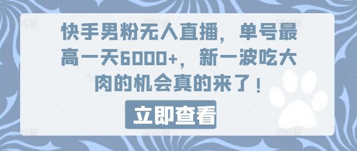 快手男粉无人直播，单号最高一天6000+，新一波吃大肉的机会真的来了-搞个副业