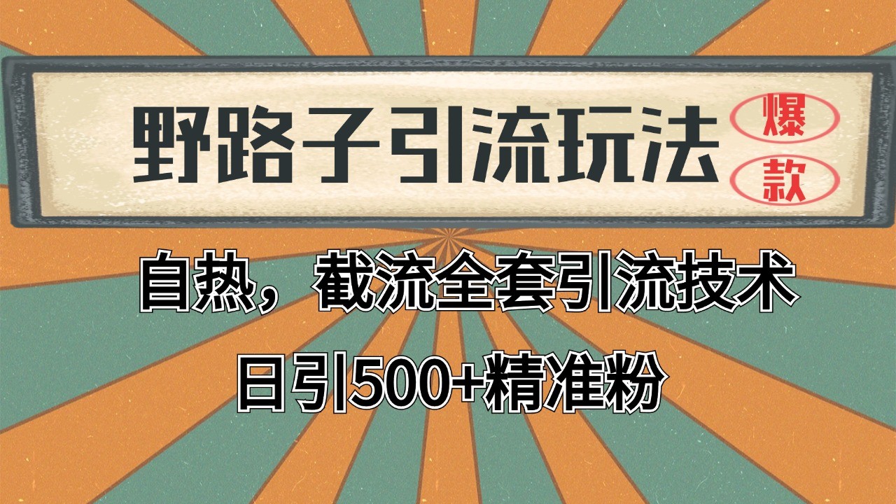 抖音小红书视频号全平台引流打法，全自动引流日引2000+精准客户-搞个副业