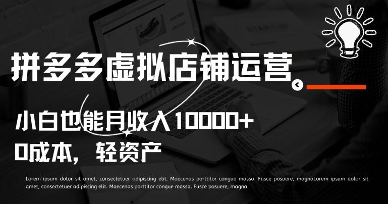 拼多多虚拟店铺运营小白也能月收入10000+【揭秘】-搞个副业