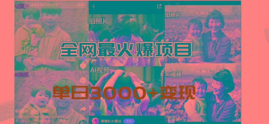 全网爆火的AI让老照片动起来教程，蹭热点日赚3000+，内含免费工具一键…-搞个副业