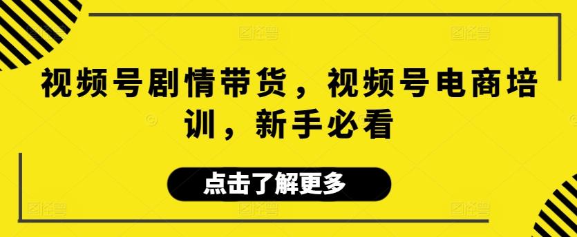 视频号剧情带货，视频号电商培训，新手必看-搞个副业