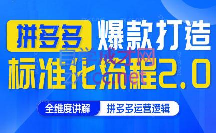 云杉老师·拼多多爆款打造标准化流程2.0-搞个副业