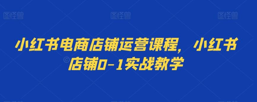 小红书电商店铺运营课程，小红书店铺0-1实战教学-搞个副业