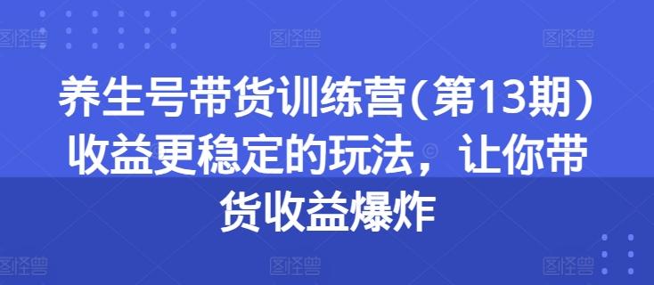 养生号带货训练营(第13期)收益更稳定的玩法，让你带货收益爆炸-搞个副业