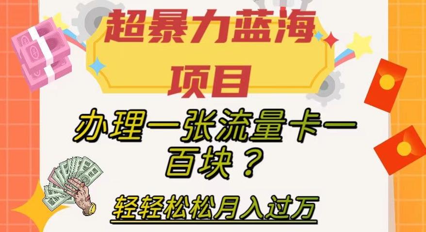 超暴力蓝海项目，办理一张流量卡一百块？轻轻松松月入过万，保姆级教程【揭秘】-搞个副业