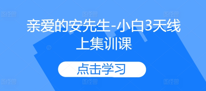 亲爱的安先生-小白3天线上集训课-搞个副业