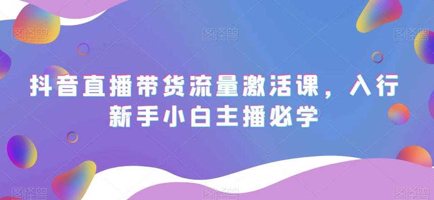 抖音直播带货流量激活课，入行新手小白主播必学-搞个副业