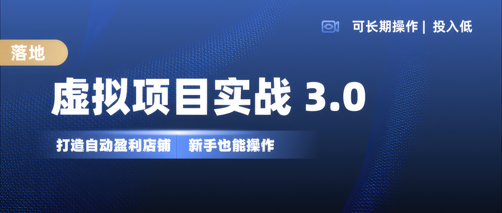 虚拟项目实操落地 3.0,新手轻松上手，单品月入1W+-搞个副业