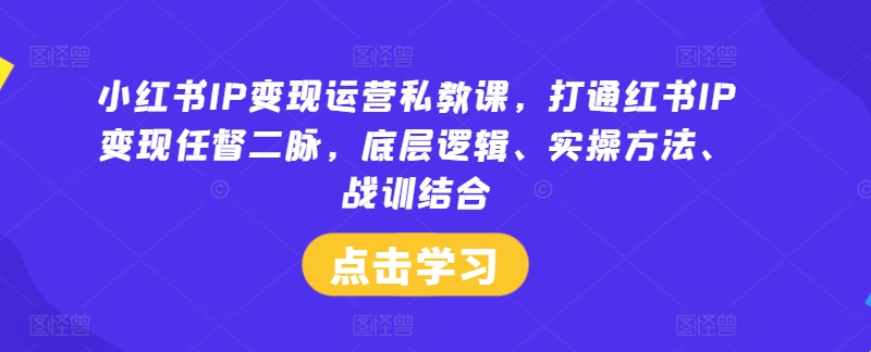 小红书IP变现运营私教课，打通红书IP变现任督二脉，底层逻辑、实操方法、战训结合-搞个副业