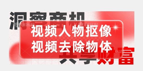【超强视频处理工具】视频人物抠像+视频去除物体-搞个副业
