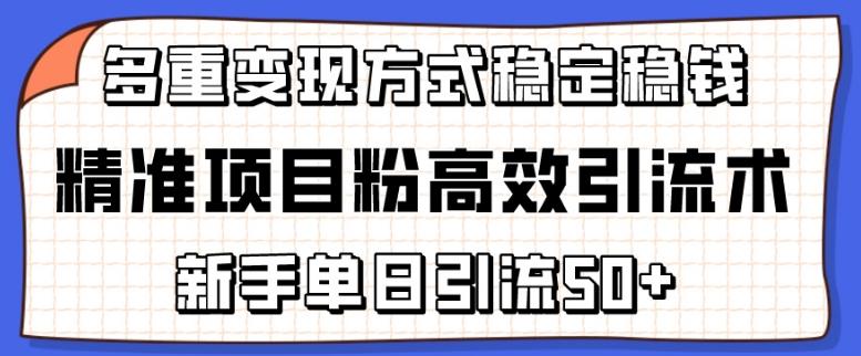 精准项目粉高效引流术，新手单日引流50+，多重变现方式稳定赚钱【揭秘】-搞个副业