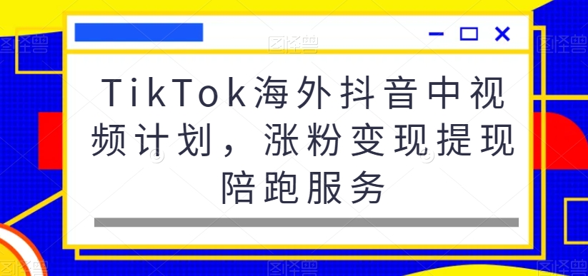 TikTok海外抖音中视频计划，涨粉变现提现陪跑服务-搞个副业