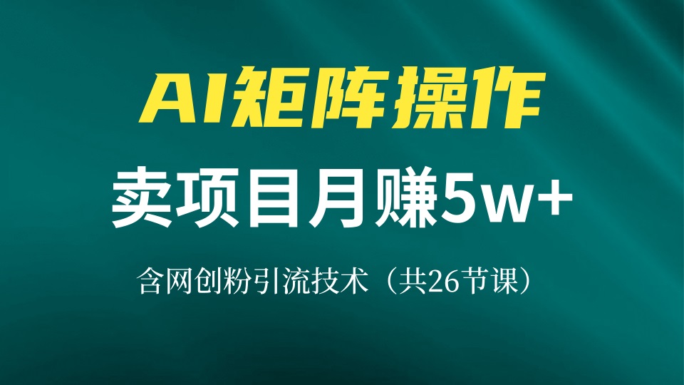 网创IP打造课，借助AI卖项目月赚5万+，含引流技术(共26节课-搞个副业