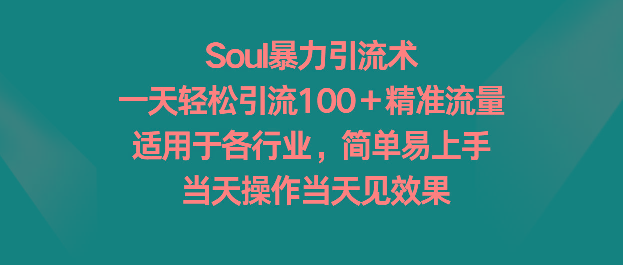 Soul暴力引流术，一天轻松引流100＋精准流量，适用于各行业，简单易上手！-搞个副业