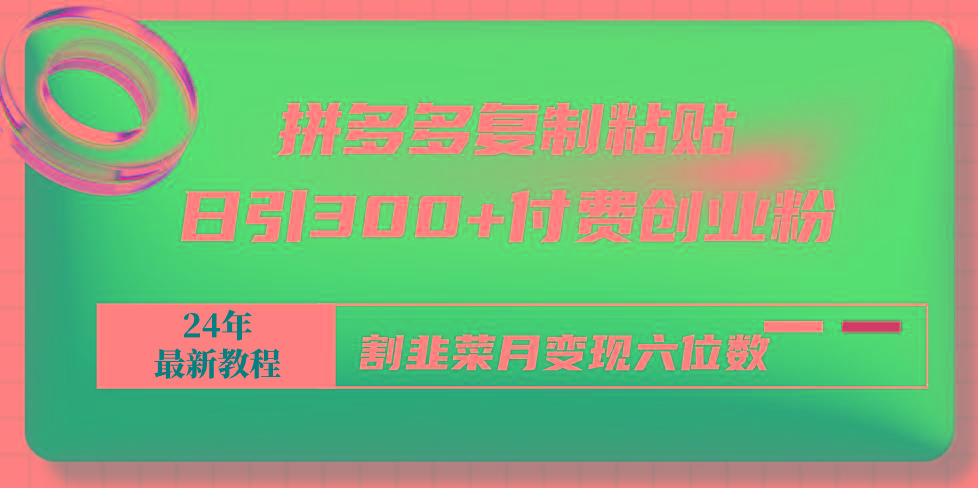 拼多多复制粘贴日引300+付费创业粉，割韭菜月变现六位数最新教程！-搞个副业