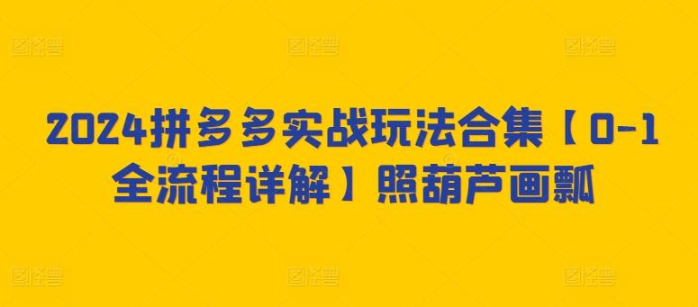 2024拼多多实战玩法合集【0-1全流程详解】照葫芦画瓢-搞个副业