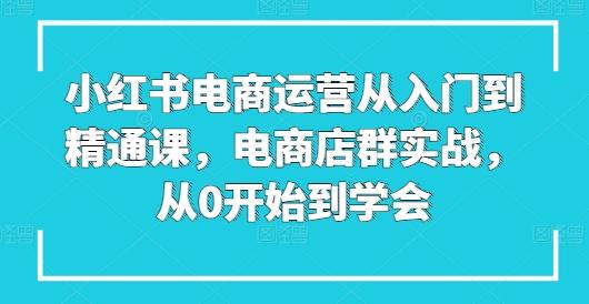 小红书电商运营从入门到精通课，电商店群实战，从0开始到学会-搞个副业