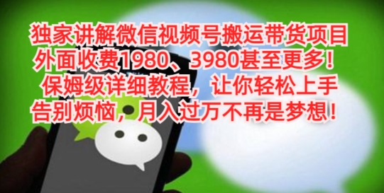独家讲解微信视频号搬运带货项目，保姆级详细教程-搞个副业