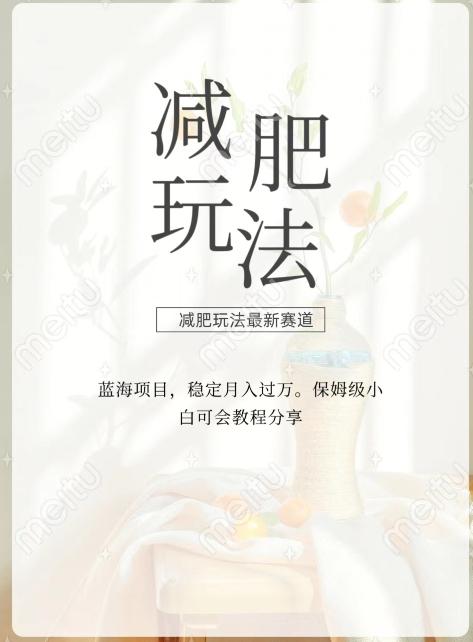 减肥流量主新玩法，轻松月入1W，可矩阵操作收入翻倍-搞个副业