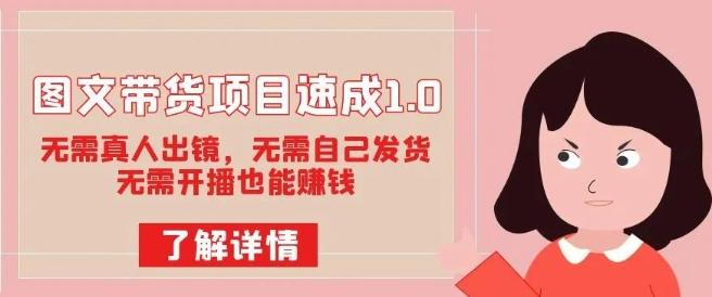 图文带货项目速成1.0：无需真人出镜，无需自己发货，无需开播也能赚钱！-搞个副业