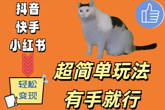 超简单玩法，有手就行，靠猫咪视频日入500+【揭秘】-搞个副业