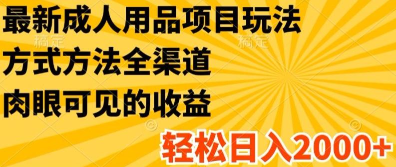 最新成人用品项目玩法，方式方法全渠道，轻松日入2K+【揭秘】-搞个副业