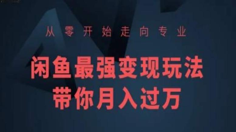 从零开始走向专业，闲鱼最强变现玩法带你月入过万-搞个副业