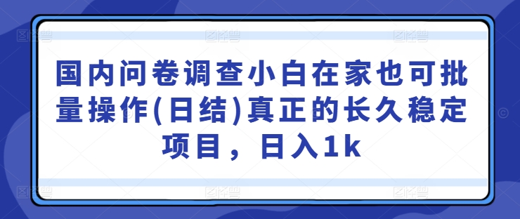 国内问卷调查小白在家也可批量操作(日结)真正的长久稳定项目，日入1k【揭秘】-搞个副业