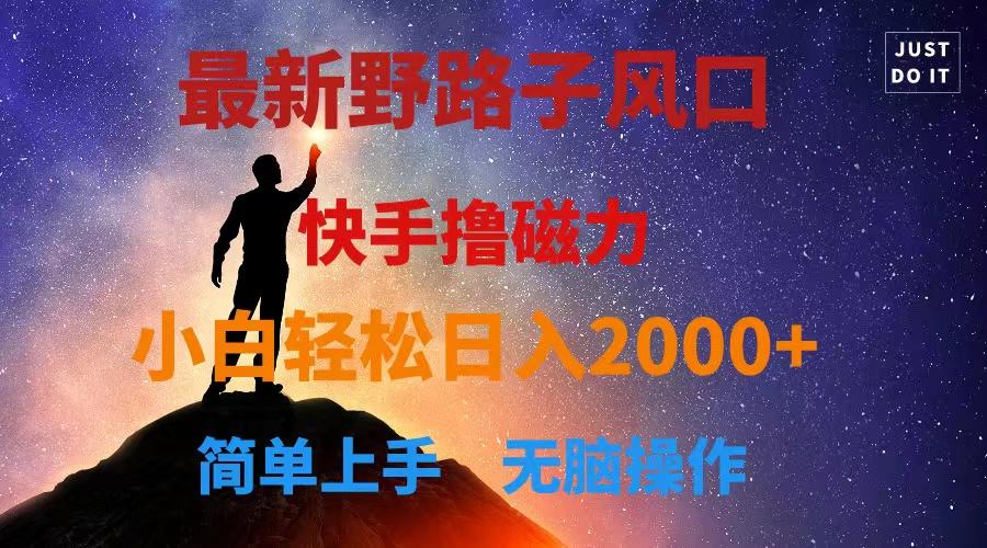 最新风口！快手撸磁力，野路子，小白无脑操作日入2000+-搞个副业