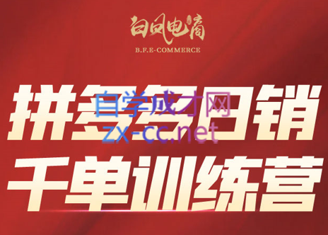 白凤电商学院·拼多多日销千单训练营(更新7月)-搞个副业