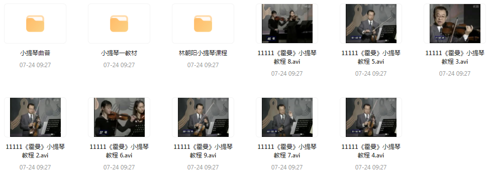 霍曼小提琴教学视频-搞个副业