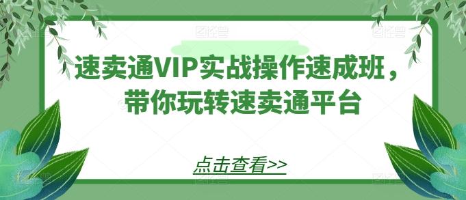 速卖通VIP实战操作速成班，带你玩转速卖通平台-搞个副业