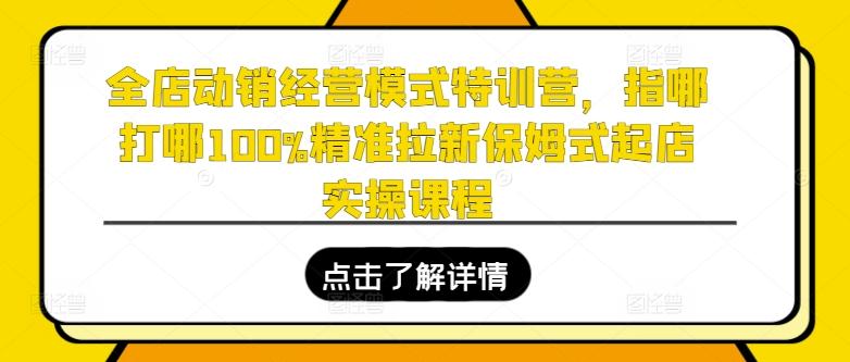 全店动销经营模式特训营，指哪打哪100%精准拉新保姆式起店实操课程-搞个副业