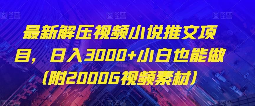 最新解压视频小说推文项目，日入3000+小白也能做（附2000G视频素材）【揭秘】-搞个副业
