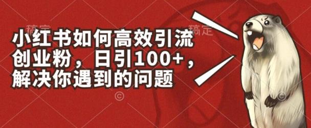 小红书如何高效引流创业粉，日引100+，解决你遇到的问题【揭秘】-搞个副业