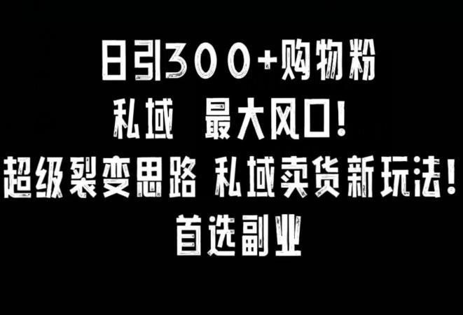 日引300+购物粉，超级裂变思路，私域卖货新玩法，小红书首选副业【揭秘】-搞个副业