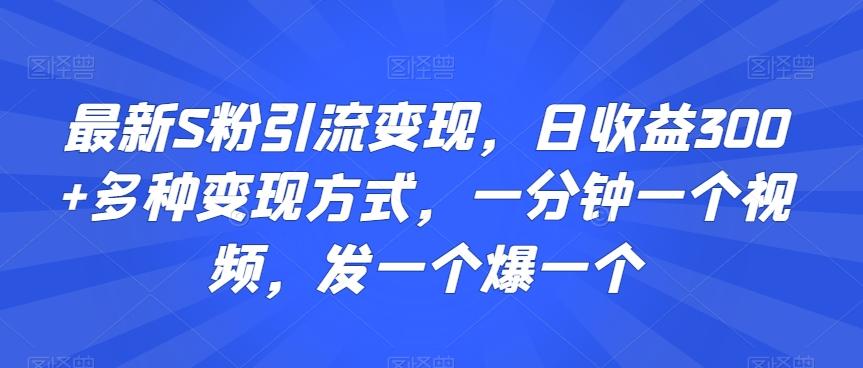 最新S粉引流变现，日收益300+多种变现方式，一分钟一个视频，发一个爆一个【揭秘】-搞个副业