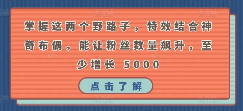 掌握这两个野路子，特效结合神奇布偶，能让粉丝数量飙升，至少增长 5000【揭秘】-搞个副业