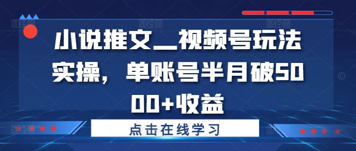 小说推文—视频号玩法实操，单账号半月破5000+收益-搞个副业