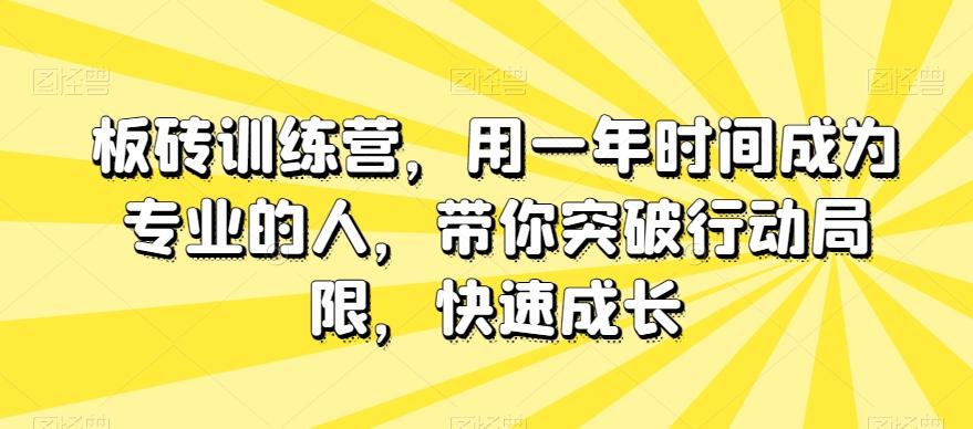 板砖训练营，用一年时间成为专业的人，带你突破行动局限，快速成长-搞个副业